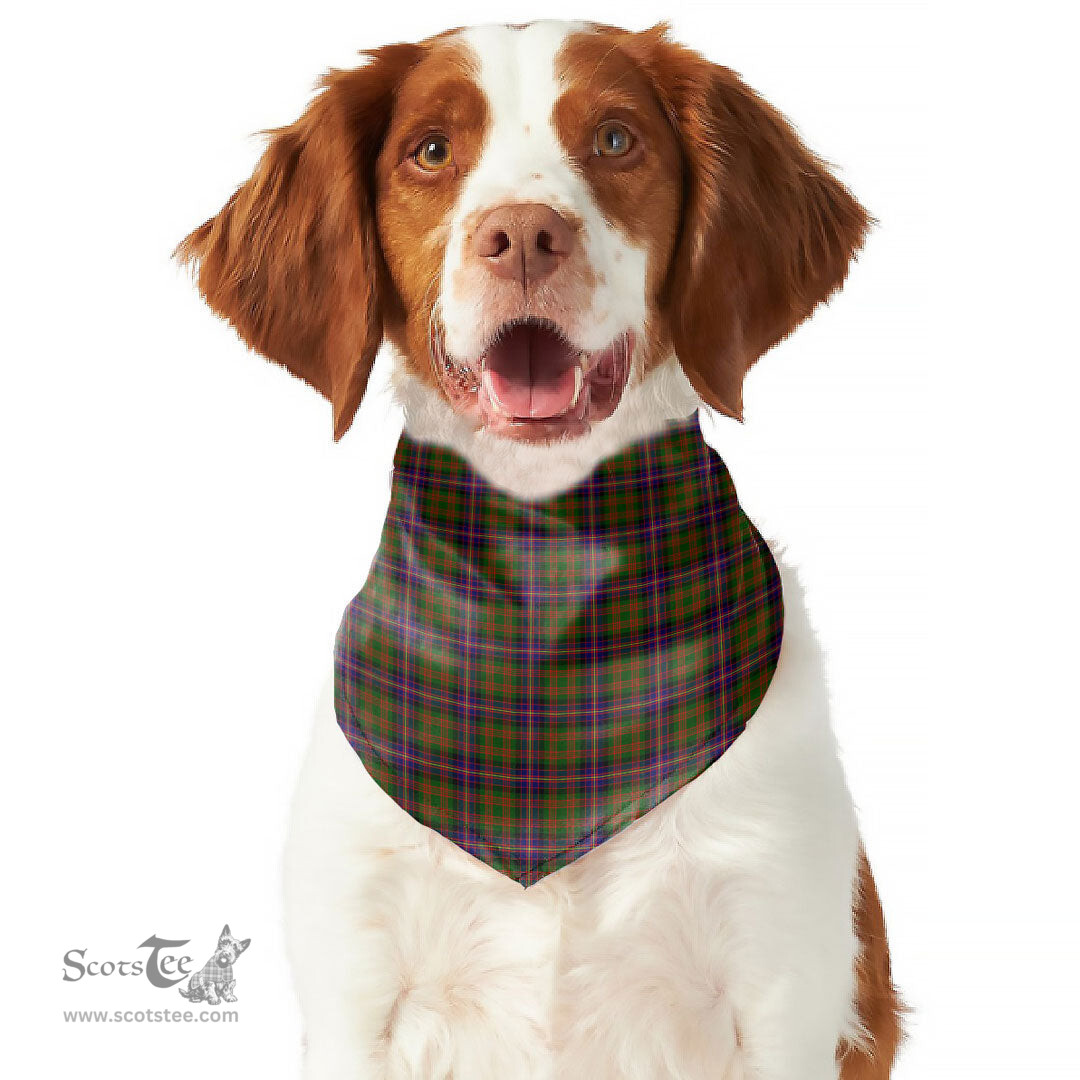 Scottish Cochrane Modern Clan Tartan Pets Scarf Pet Dog Bandana