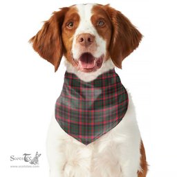 Scottish Cumming Hunting Modern Clan Tartan Pets Scarf Pet Dog Bandana