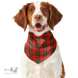 Scottish Dunbar Modern Clan Tartan Pets Scarf Pet Dog Bandana