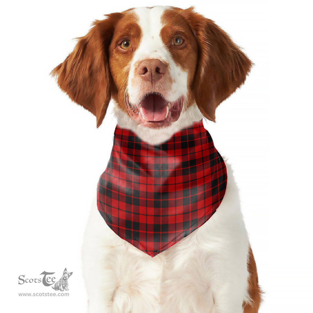 Scottish Ettrick District Clan Tartan Pets Scarf Pet Dog Bandana