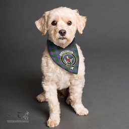 Scottish Elphinstone Clan Crest Tartan Pets Scarf Pet Dog Bandana