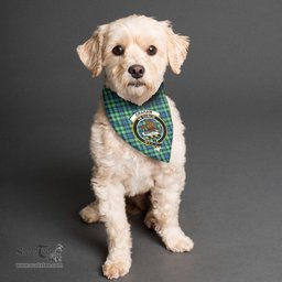 Scottish Graham of Montrose Ancient Clan Crest Tartan Pets Scarf Pet Dog Bandana