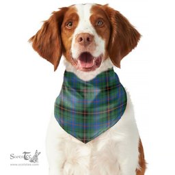 Scottish Davidson Ancient Clan Tartan Pets Scarf Pet Dog Bandana
