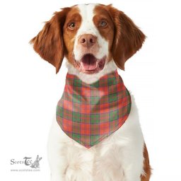 Scottish Grant Ancient Clan Tartan Pets Scarf Pet Dog Bandana