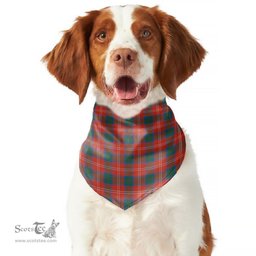 Scottish Chisholm Ancient Clan Tartan Pets Scarf Pet Dog Bandana