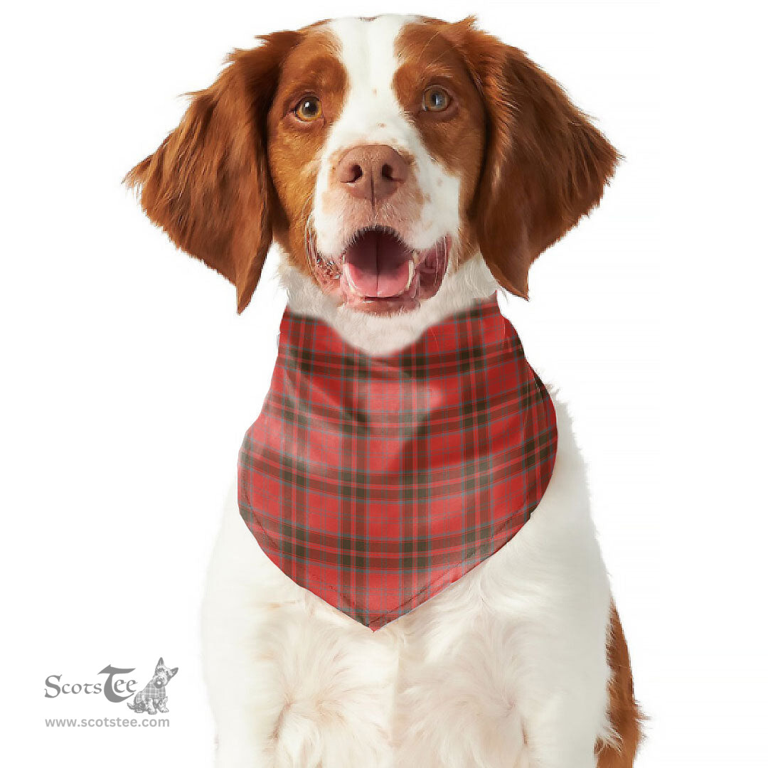 Scottish Grant Weathered Clan Tartan Pets Scarf Pet Dog Bandana