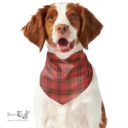 Scottish Grant Weathered Clan Tartan Pets Scarf Pet Dog Bandana