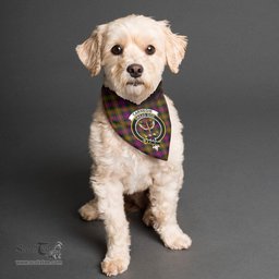 Scottish Carnegie Modern Clan Crest Tartan Pets Scarf Pet Dog Bandana