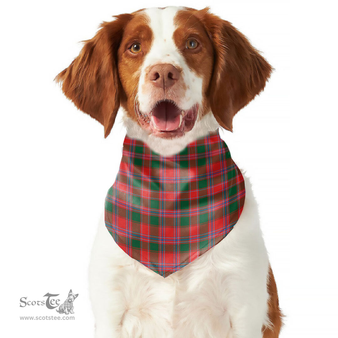 Scottish Dalziel Modern Clan Tartan Pets Scarf Pet Dog Bandana