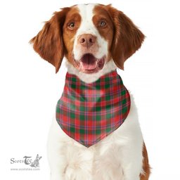 Scottish Dalziel Modern Clan Tartan Pets Scarf Pet Dog Bandana