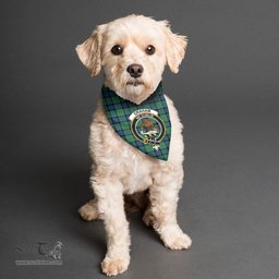 Scottish Graham of Menteith Ancient Clan Crest Tartan Pets Scarf Pet Dog Bandana
