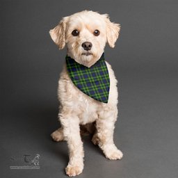 Scottish Campbell of Breadalbane Modern Clan Tartan Pets Scarf Pet Dog Bandana