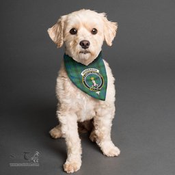 Scottish Henderson Ancient Clan Crest Tartan Pets Scarf Pet Dog Bandana