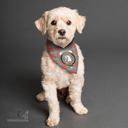 Scottish Dunbar Ancient Clan Crest Tartan Pets Scarf Pet Dog Bandana