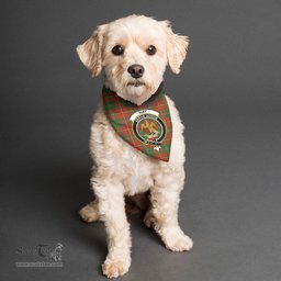 Scottish Hay Ancient Clan Crest Tartan Pets Scarf Pet Dog Bandana