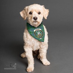 Scottish Duncan Ancient Clan Crest Tartan Pets Scarf Pet Dog Bandana