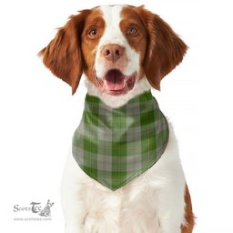 Scottish Cunningham Dress Green Dancers Clan Tartan Pets Scarf Pet Dog Bandana