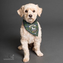 Scottish Cochrane Ancient Clan Crest Tartan Pets Scarf Pet Dog Bandana