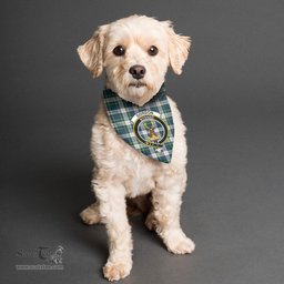 Scottish Gordon Dress Ancient Clan Crest Tartan Pets Scarf Pet Dog Bandana