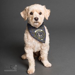 Scottish Fletcher of Dunans Clan Crest Tartan Pets Scarf Pet Dog Bandana
