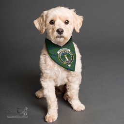 Scottish Henderson Modern Clan Crest Tartan Pets Scarf Pet Dog Bandana