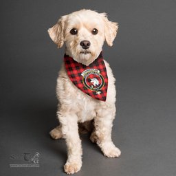Scottish Cunningham Modern Clan Crest Tartan Pets Scarf Pet Dog Bandana