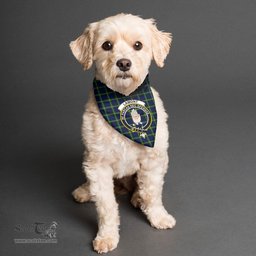 Scottish Lamont Modern Clan Crest Tartan Pets Scarf Pet Dog Bandana