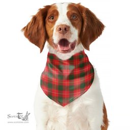 Scottish MacFie Clan Tartan Pets Scarf Pet Dog Bandana