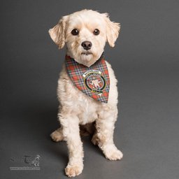 Scottish MacFarlane Ancient Clan Crest Tartan Pets Scarf Pet Dog Bandana
