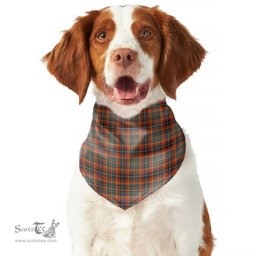 Scottish Innes Ancient Clan Tartan Pets Scarf Pet Dog Bandana
