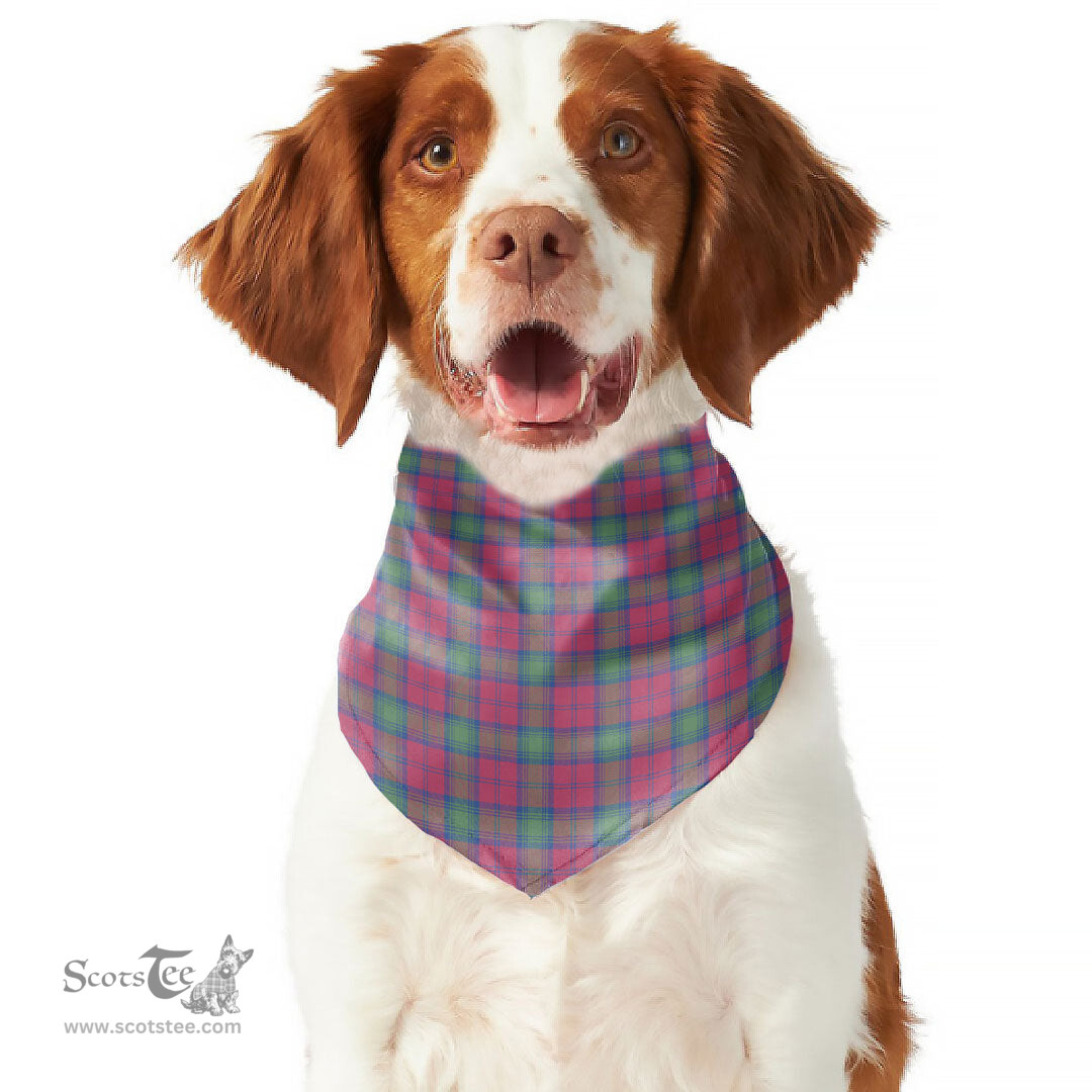 Scottish Lindsay Ancient Clan Tartan Pets Scarf Pet Dog Bandana