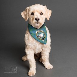 Scottish Lockhart Clan Crest Tartan Pets Scarf Pet Dog Bandana