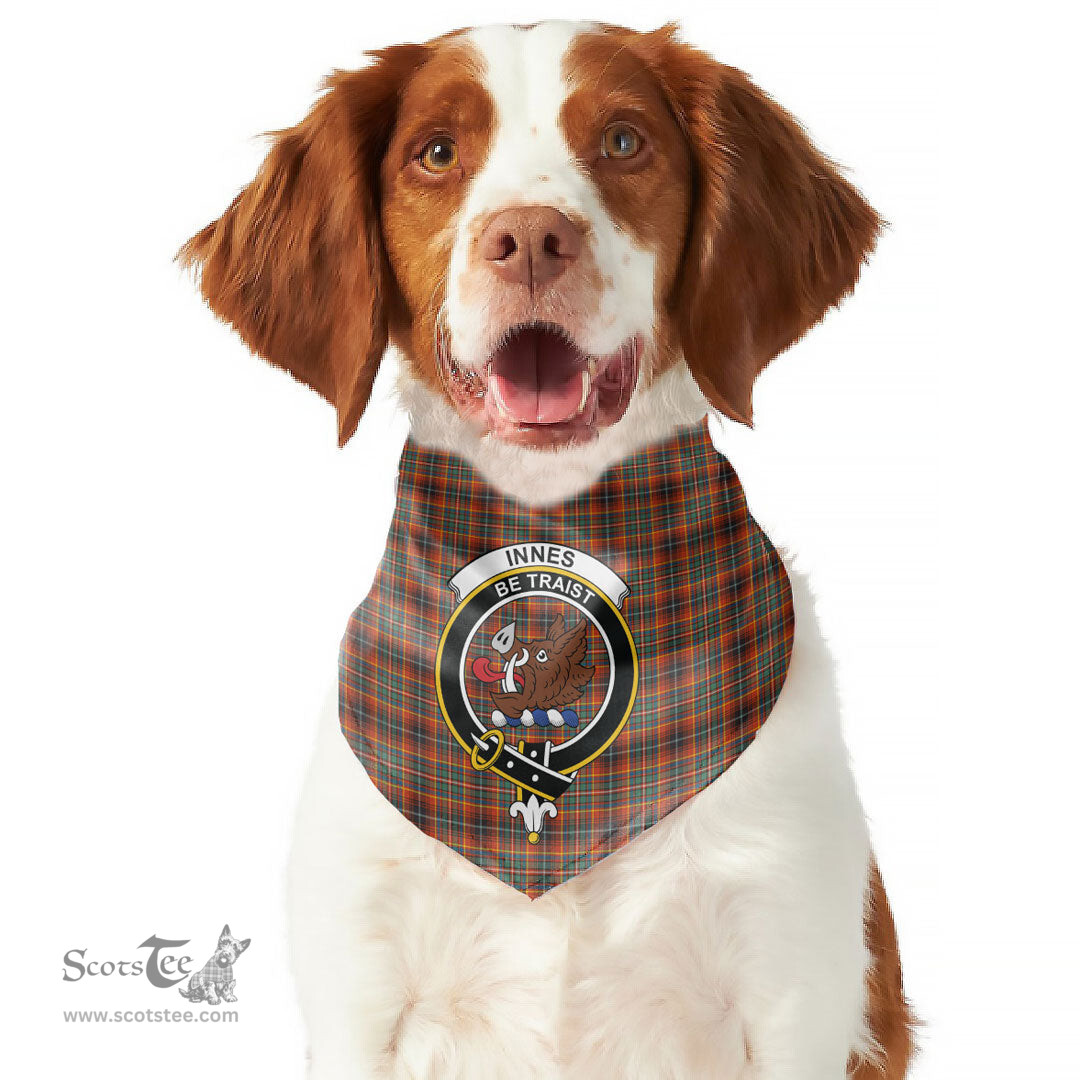 Scottish Innes Ancient Clan Crest Tartan Pets Scarf Pet Dog Bandana
