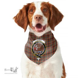 Scottish Innes Ancient Clan Crest Tartan Pets Scarf Pet Dog Bandana