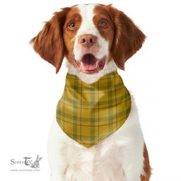 Scottish Houston Clan Tartan Pets Scarf Pet Dog Bandana