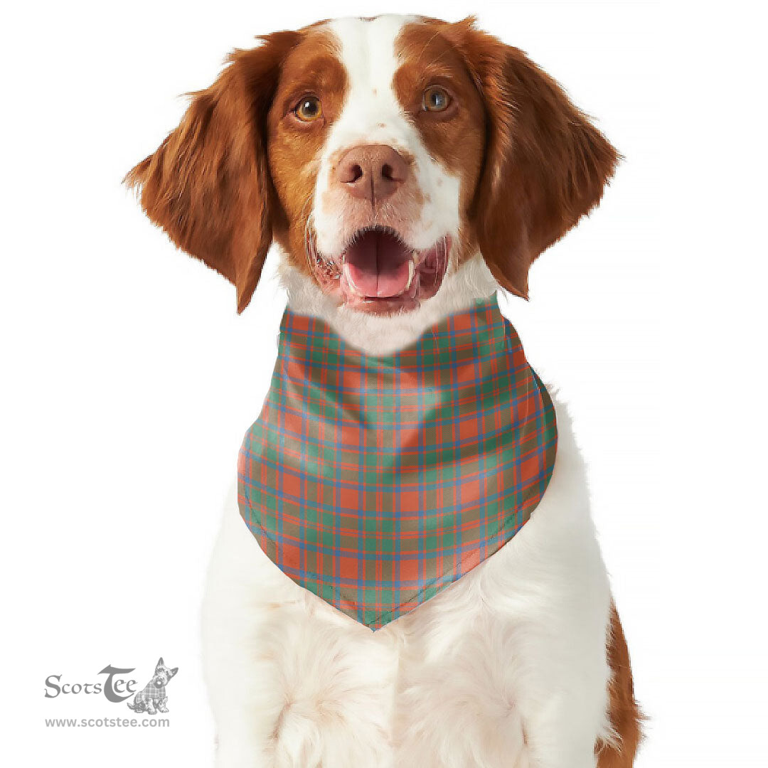 Scottish MacKintosh Ancient Clan Tartan Pets Scarf Pet Dog Bandana