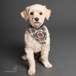 Scottish MacDuff Dress Modern Clan Crest Tartan Pets Scarf Pet Dog Bandana