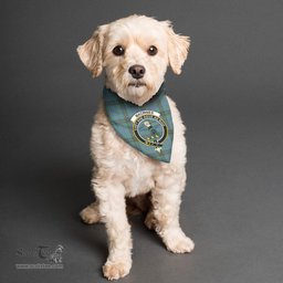 Scottish MacInnes Ancient Clan Crest Tartan Pets Scarf Pet Dog Bandana