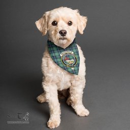Scottish MacDonald of the Isles Hunting Ancient Clan Crest Tartan Pets Scarf Pet Dog Bandana