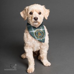 Scottish MacKenzie Dress Ancient Clan Crest Tartan Pets Scarf Pet Dog Bandana