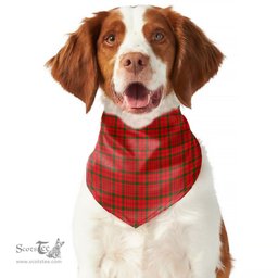 Scottish MacDonnell of Keppoch Modern Clan Tartan Pets Scarf Pet Dog Bandana