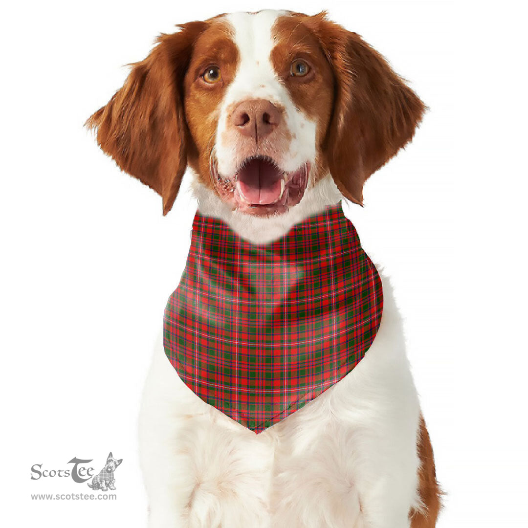 Scottish MacKinnon Modern Clan Tartan Pets Scarf Pet Dog Bandana