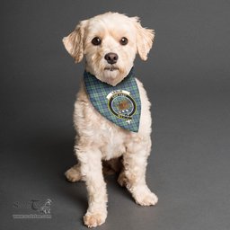 Scottish Leslie Hunting Ancient Clan Crest Tartan Pets Scarf Pet Dog Bandana
