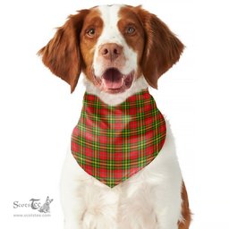 Scottish Leask Clan Tartan Pets Scarf Pet Dog Bandana