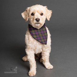 Scottish MacDonald Modern Clan Tartan Pets Scarf Pet Dog Bandana