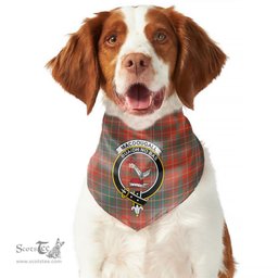 Scottish MacDougall Ancient Clan Crest Tartan Pets Scarf Pet Dog Bandana