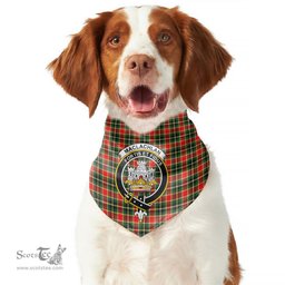 Scottish MacLachlan Hunting Modern Clan Crest Tartan Pets Scarf Pet Dog Bandana