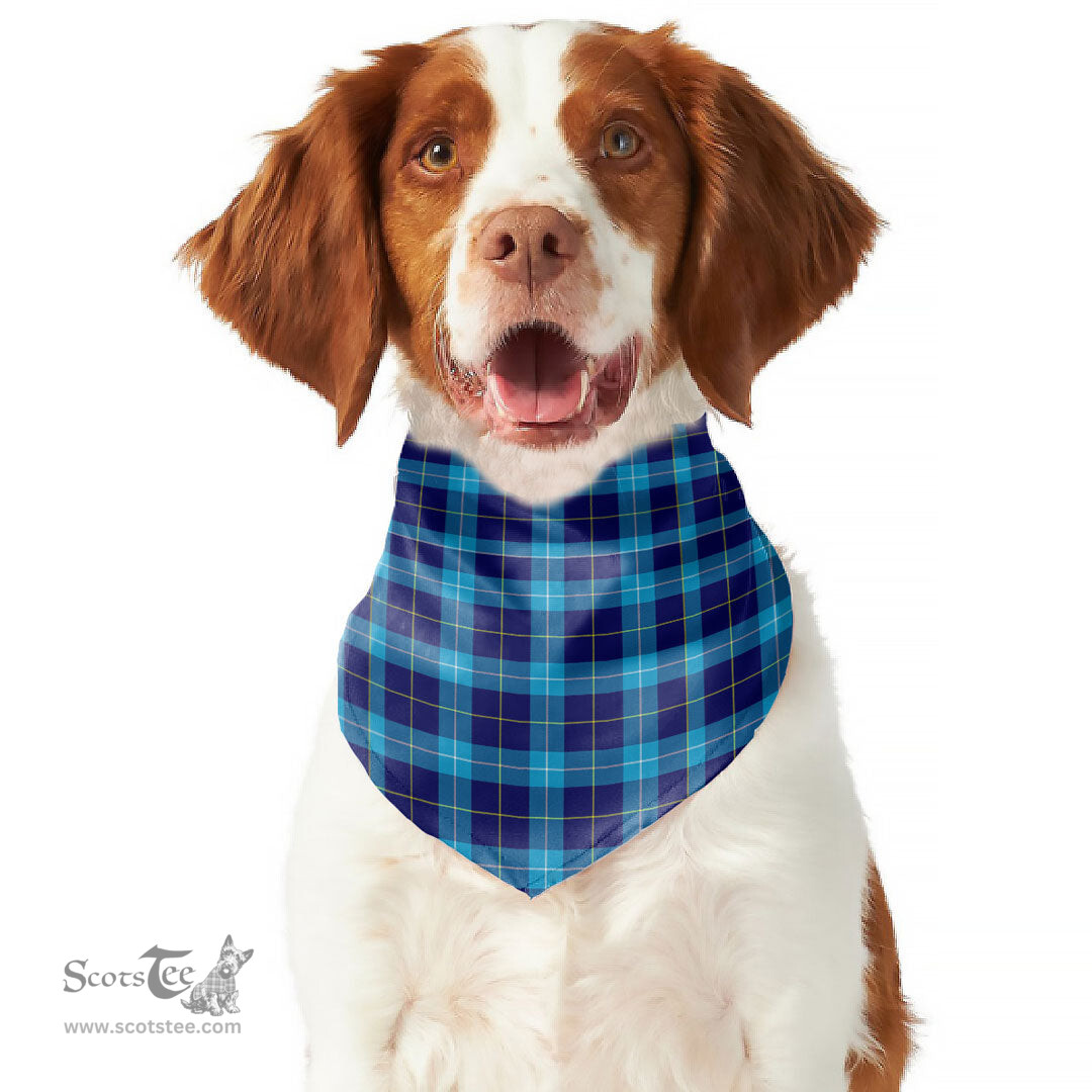Scottish MacSporran Ancient Clan Tartan Pets Scarf Pet Dog Bandana