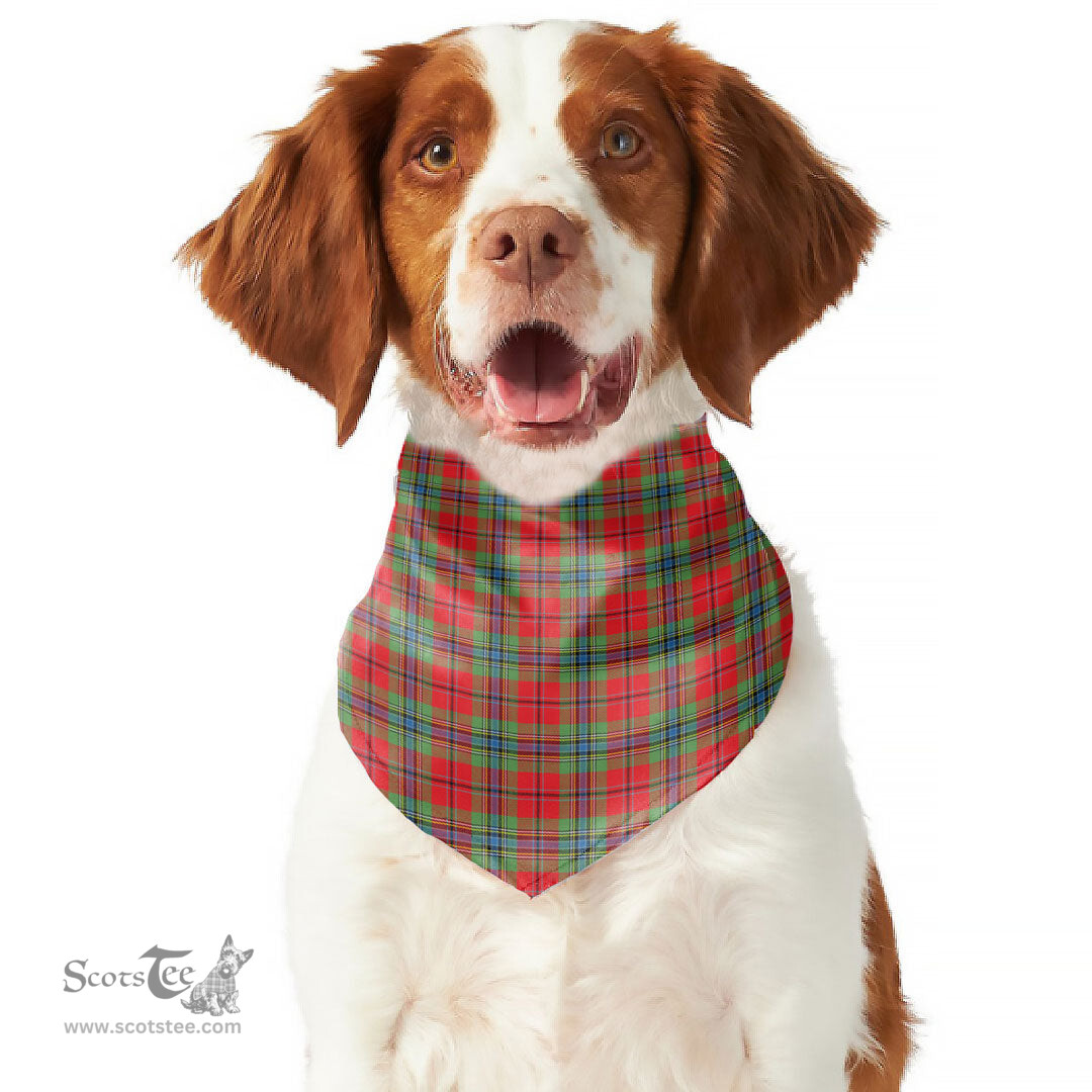 Scottish MacLean of Duart Modern Clan Tartan Pets Scarf Pet Dog Bandana