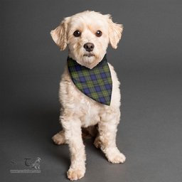 Scottish MacLaren Modern Clan Tartan Pets Scarf Pet Dog Bandana